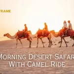 Morning Desert Safari with Camel Ride experience